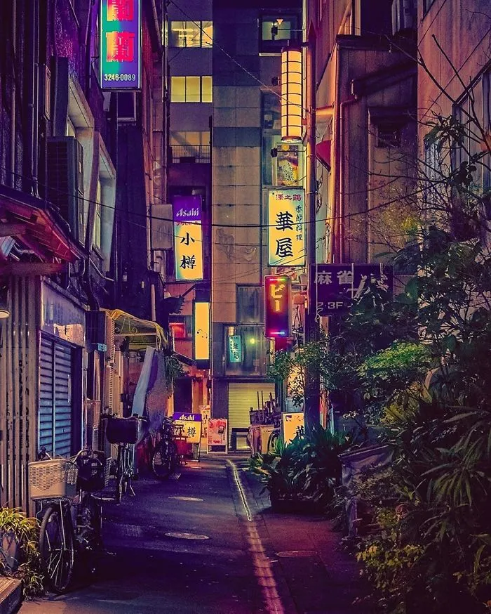 Live In The Fantasy