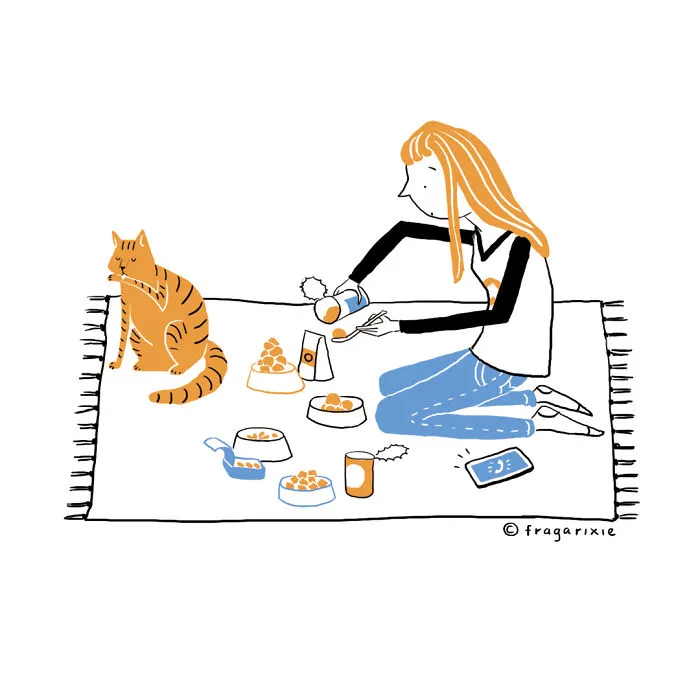 My Cat_01