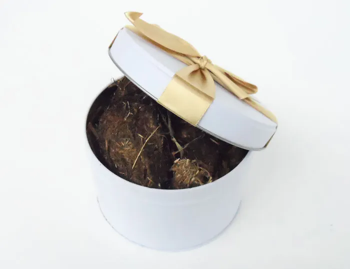 I Found A Site, Where You Can Send Real Poop To Anyone Who Hurt You, Enemies Or Friends