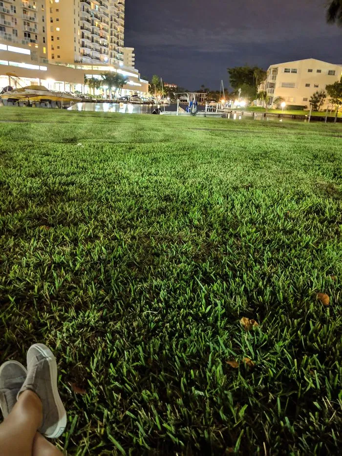 I Show The Beauty Around Me