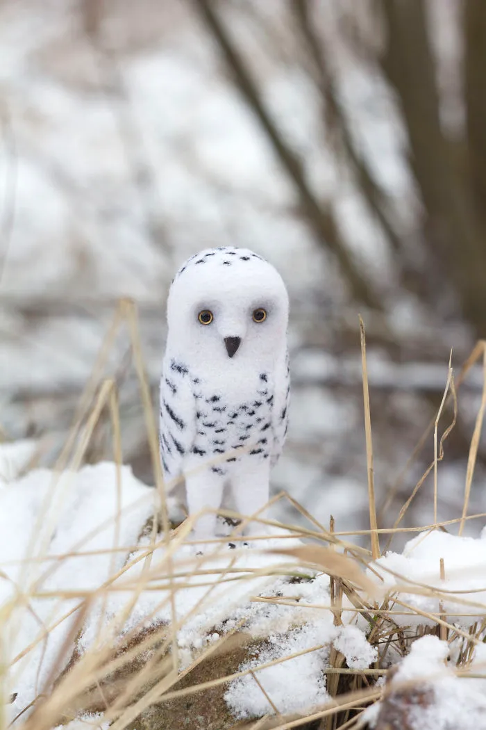 My Needle Felted Owls. Screamroad Handmade.