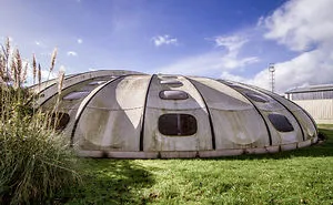 The Abandoned Sunflower Swimming Pool