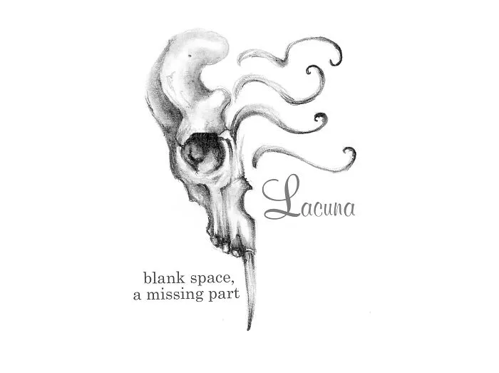 Lacuna