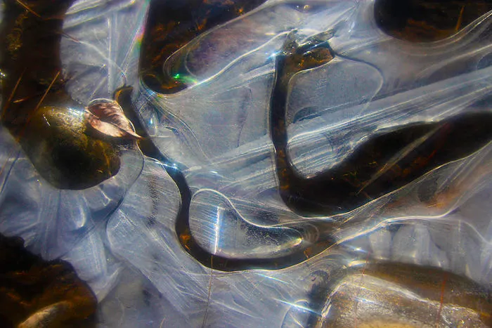 Rainbow Colors In Stream Ice