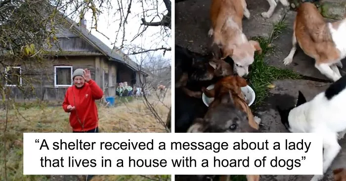 Shelter Rescues 11 Dogs Who Were Living With An Old Grandma And Only Ate Bread