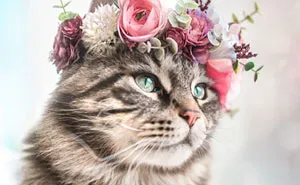 This Artist Is Making Flower Crowns For Animals And They Look Majestic