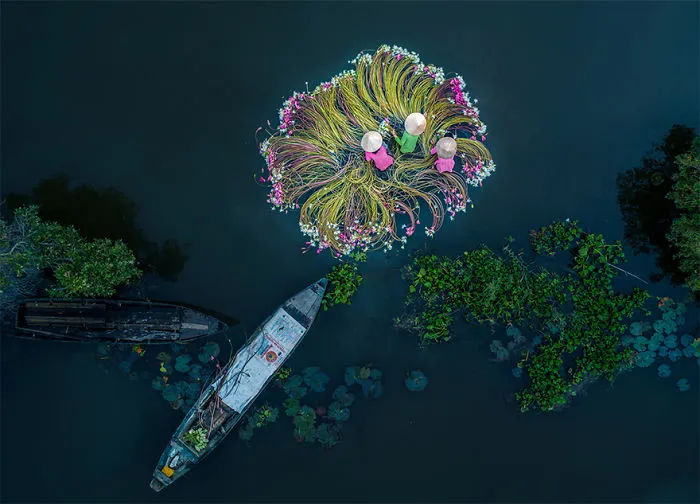 "Flores en el agua", 1º premio categoría Diversión