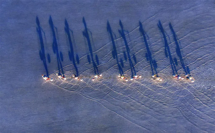 "La carga de sal", 2º premio categoría Diversión