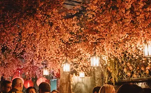 Dc's Latest Pop Up Bar: Cherry Blossom Pub