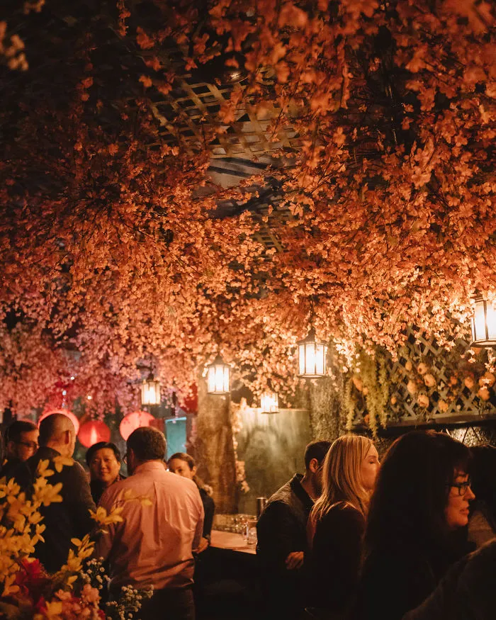 Dc's Latest Pop Up Bar: Cherry Blossom Pub