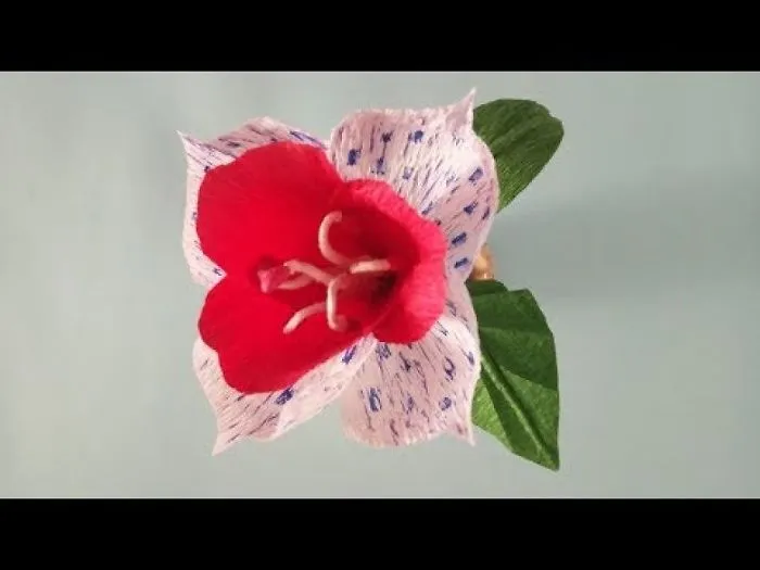 How To Make Crepe Paper Flowers