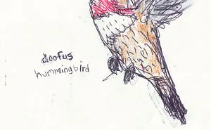 I Draw Pictures Of Birds, And Then Blog About Why They’re So Stupid