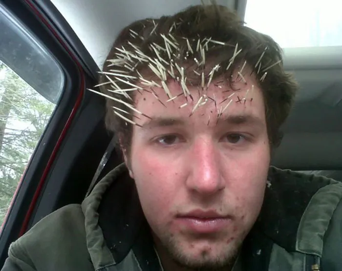 Stuck His Head In A Hole In A Tree To Take A Look, Guess What He Found