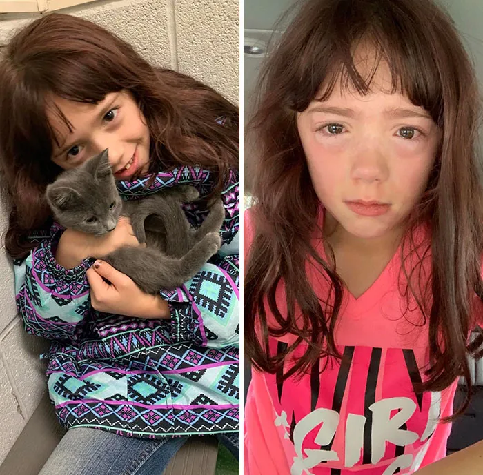 Al final cedí y dejé que mi hija tuviera un gato. Resulta que es alérgica