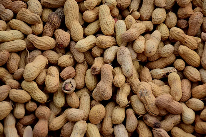 Peanut Facts