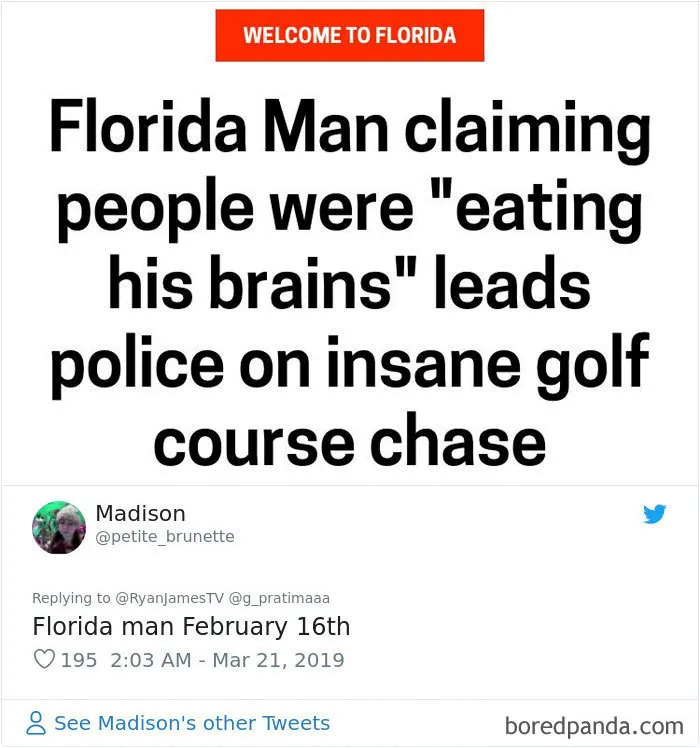 Someone Challenges People To Google 'Florida Man' Plus Their Birthday, Here Are 30 Hilarious Responses
