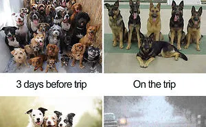 30 Funny Memes People That Travel Will Relate To