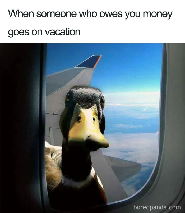 30 Funny Memes People That Travel Will Relate To