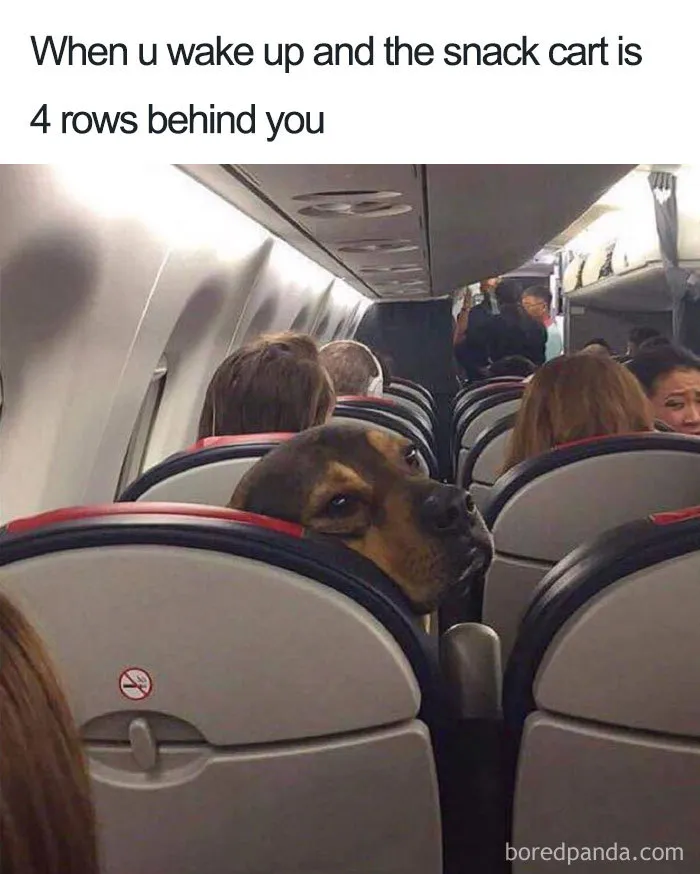 30 Funny Memes People That Travel Will Relate To
