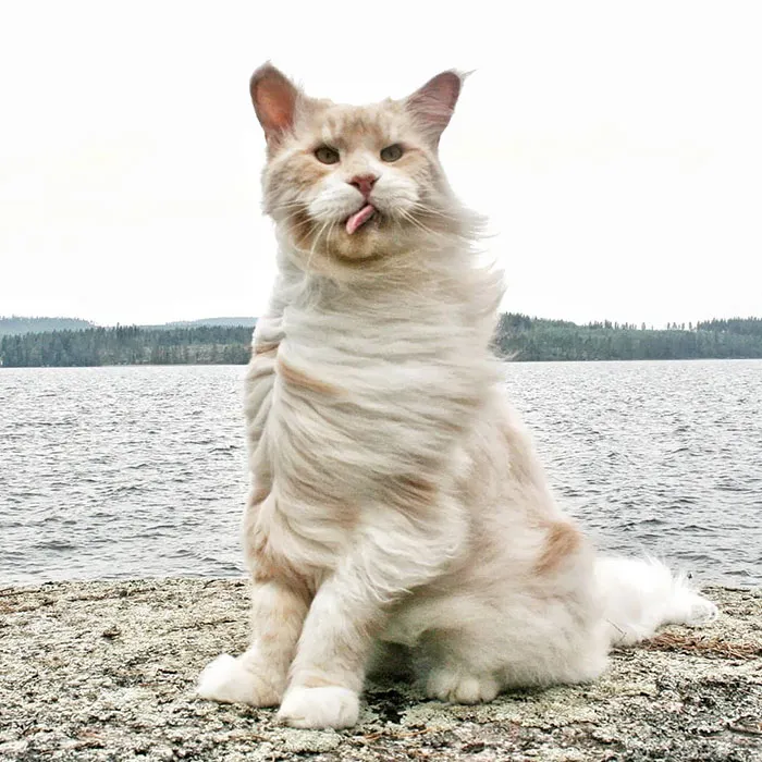 It's Windy Over There