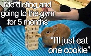 30 Of The Funniest Weight Loss And Diet Memes