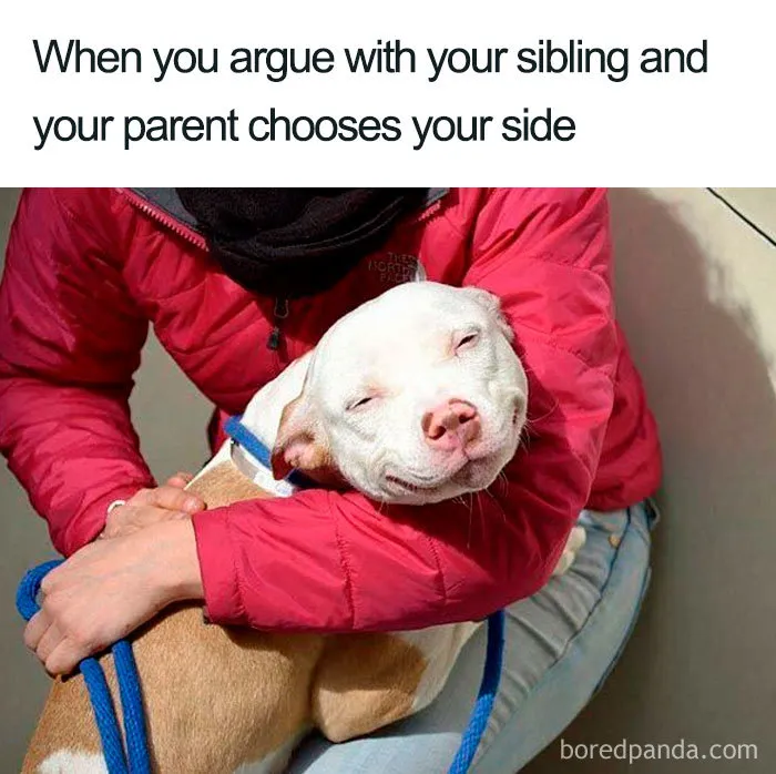 30 Of The Best Sibling Memes Ever