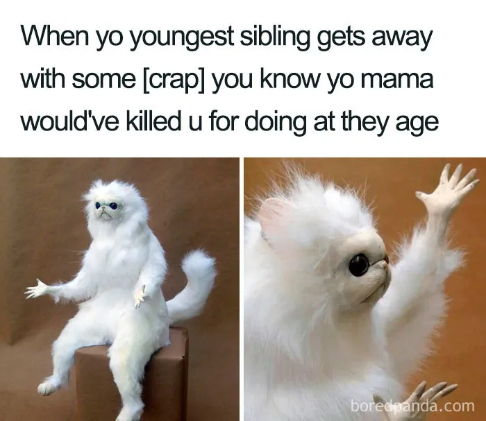 30 Of The Best Sibling Memes Ever