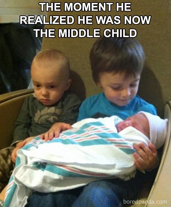 30 Of The Best Sibling Memes Ever