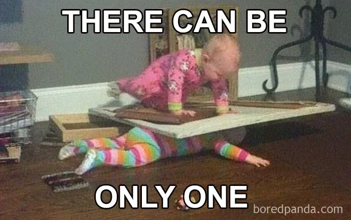30 Of The Best Sibling Memes Ever