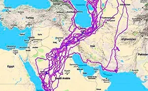 This Map Shows All Of The Places Eagles Visited In One Year, And People Are Guessing Why They Stayed Clear Of The Sea (Updated)