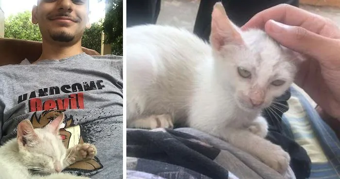 Este hombre se despertó de la siesta con un gatito callejero durmiendo sobre su estómago, y decide quedárselo