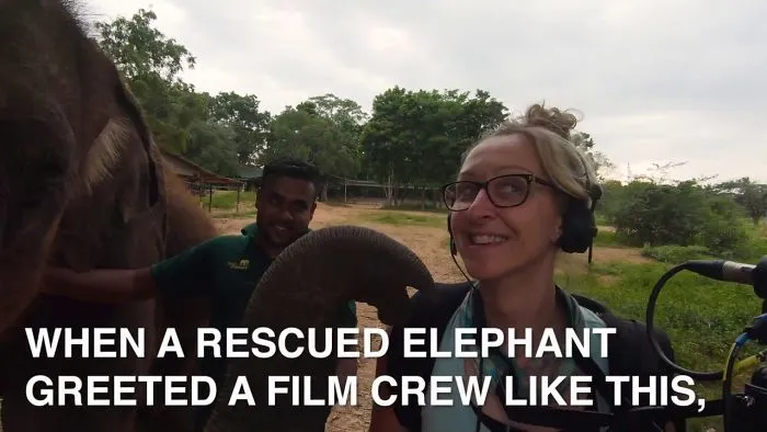 Did Someone Say Elph-Ie? Behind The Scenes Filming Sri Lankan Elephants