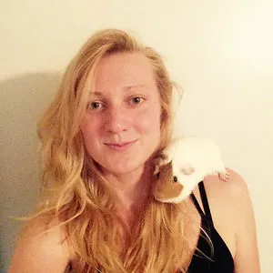 Kleiner Hase