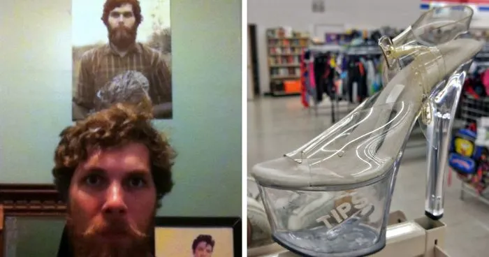 30 Times People Couldn’t Believe Their Luck In Thrift Stores, Flea Markets And Garage Sales (New Pics)