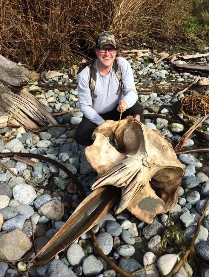 Not Something You Find On The Beach Everyday