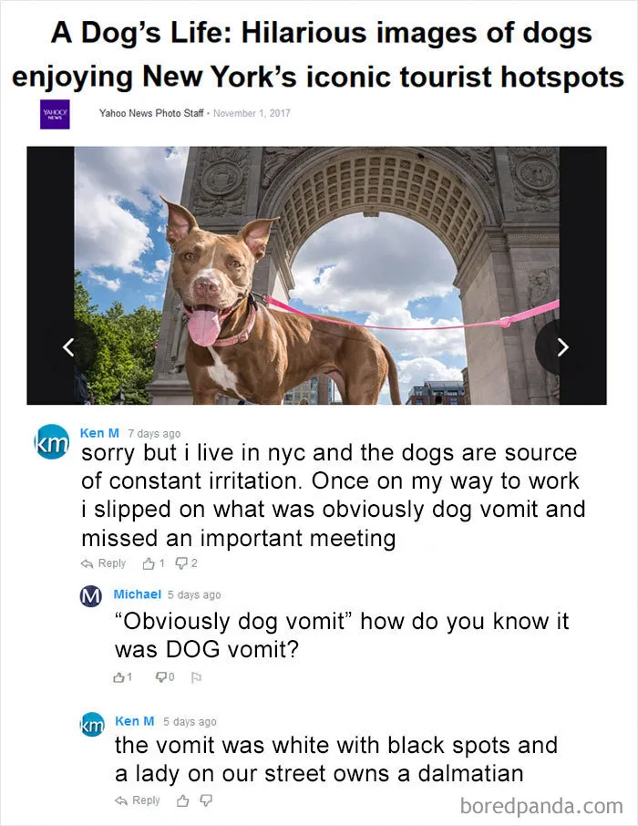 30 Hilarious Intentionally Stupid Comments By Ken M