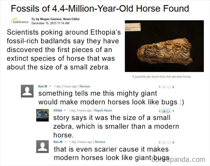 30 Hilarious Intentionally Stupid Comments By Ken M