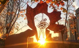 I Give A Second Life To Leaves By Cutting Drawings On Them (30 Pics)