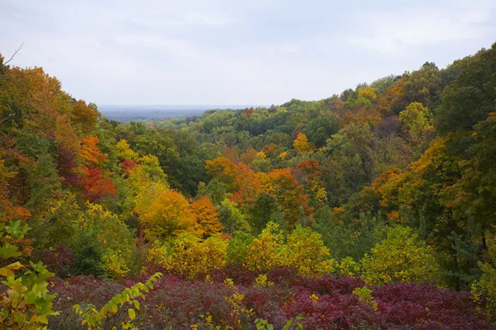 Brown County State Park, Indiana
