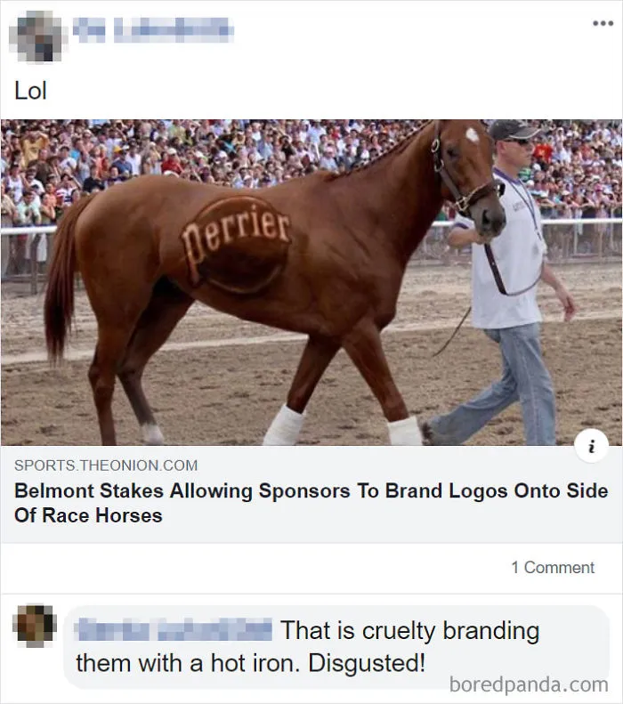 30 Funny Responses By Gullible People That Believed These 'The Onion' Articles Were Real