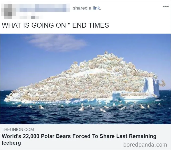 30 Funny Responses By Gullible People That Believed These 'The Onion' Articles Were Real