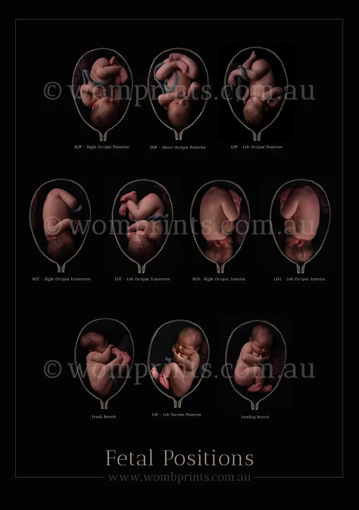 Photographer Poses Newborns As If They Were Still In The Womb!