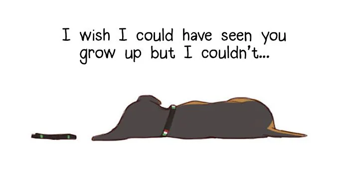 I Illustrated The Sad Tale Of My Two Cute Puppies Who I Sadly Won't See Grow Up