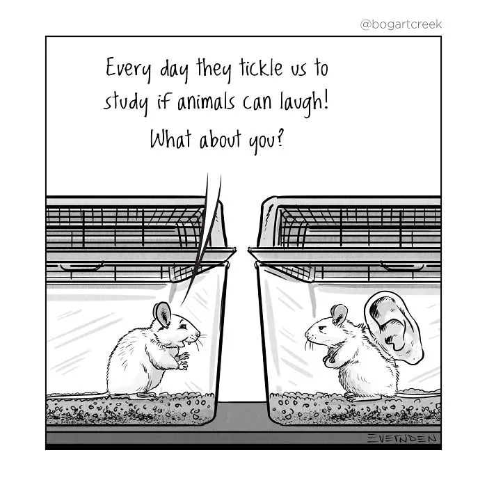 30 Single-Panel Comics By 'Bogart Creek'