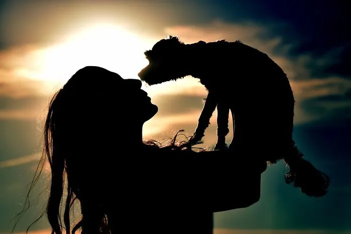 Why Life With Dogs Is The Best