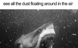 30 Of The Best Cleaning Memes
