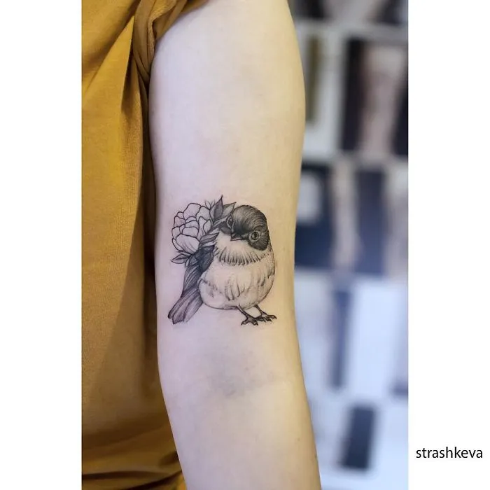A Bird