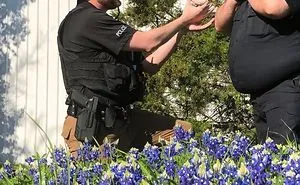 The Texas Bluebonnet Challenge Is Going Viral And Here Are The 30 Best Photos From Police Officers So Far