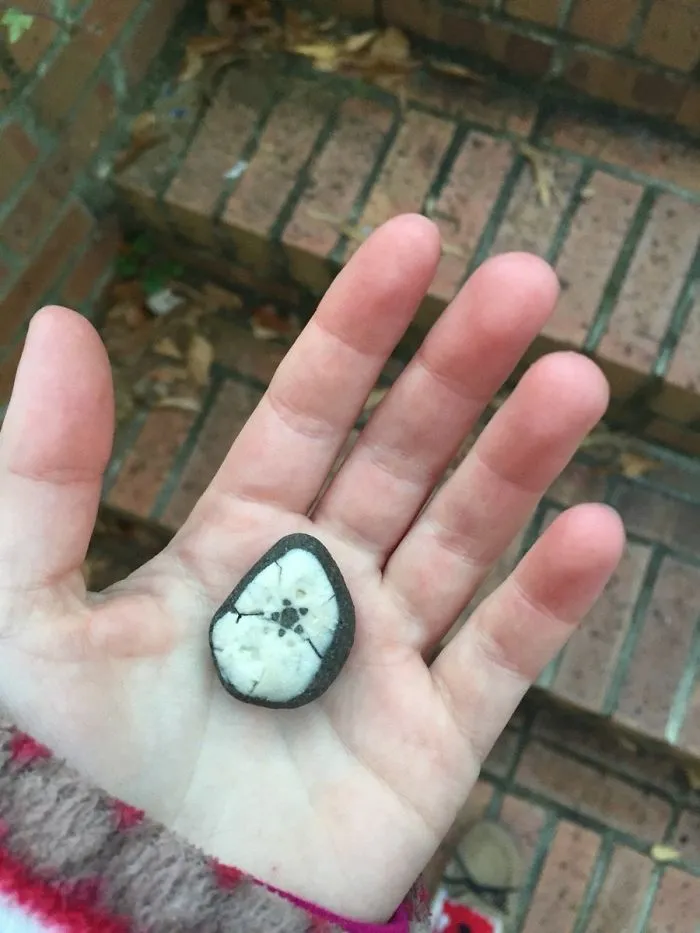 He encontrado esta piedra en la playa