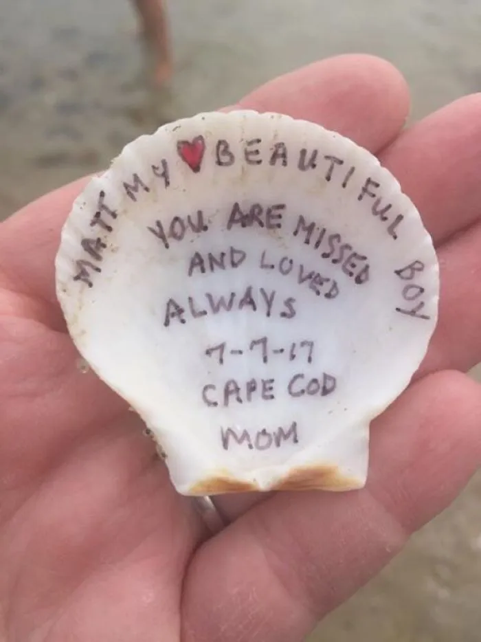  Found This Shell On Corporation Beach On Cape Cod. Instant Goosebumps